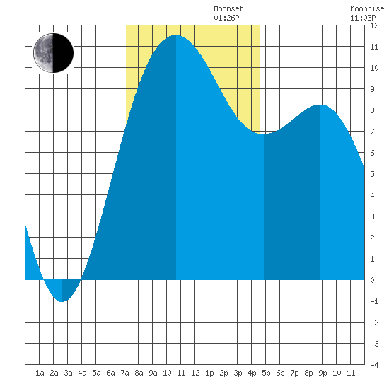 Shilshole Bay tide chart for Tuesday, November 11, 2025