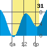 Bay Center tide chart for Saturday, August 31, 2024