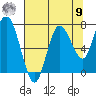 Bay Center tide chart for Saturday, August 9, 2025