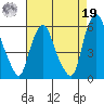 Money Island tide chart for Monday, August 19, 2024