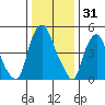 Money Island tide chart for Tuesday, December 31, 2024