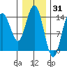 Muir Inlet tide chart for Saturday, January 31, 2026