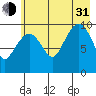 Naked Island tide chart for Saturday, July 31, 2021