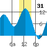 Naked Island tide chart for Tuesday, December 31, 2024