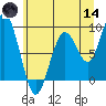 Willapa Bay 101 Bridge tide chart for Sunday, June 14, 2026