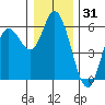 Netarts Bay tide chart for Tuesday, December 31, 2024