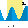 New Haven tide chart for Saturday, August 31, 2024