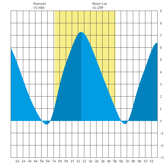 Newbold tide chart for Sunday, January 24, 2021