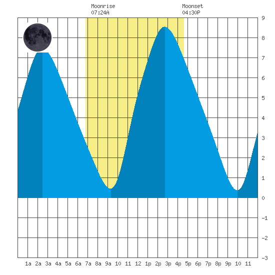 Newbold tide chart for Thursday, November 20, 2025