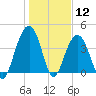North Dewees Island tide chart for Tuesday, January 12, 2021