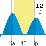 North Dewees Island tide chart for Sunday, January 12, 2025