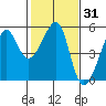 San Francisco Pier 41 tide chart for Friday, January 31, 2025