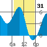 San Francisco Pier 41 tide chart for Saturday, January 31, 2026