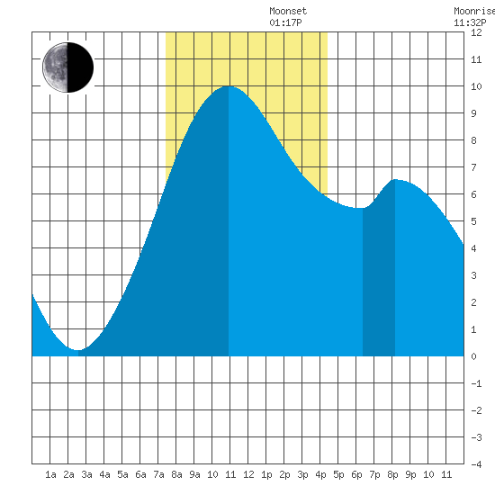 Indian Island tide chart for Friday, November 22, 2024