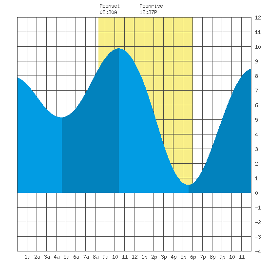 Bear Cove tide chart for Tuesday, February 20, 2024
