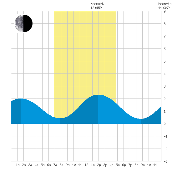 Old Plantation Light tide chart for Friday, November 22, 2024
