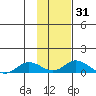 Olga Bay (A. P. A. Cannery) tide chart for Friday, January 31, 2025