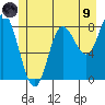 Olga Point tide chart for Friday, July 9, 2021