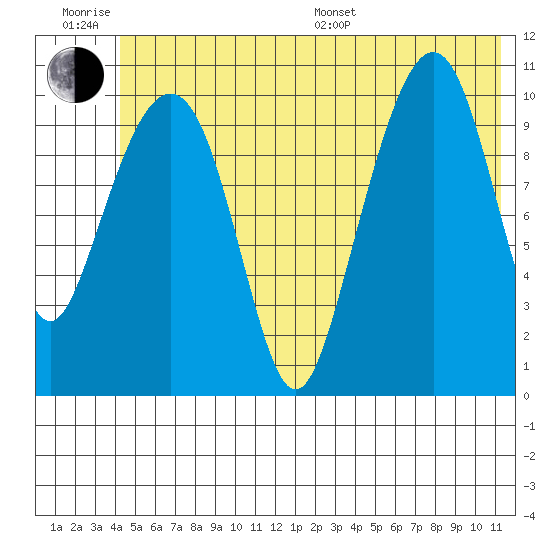 Orca tide chart for Friday, June 28, 2024