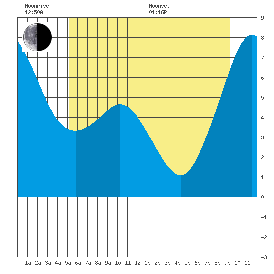 Orcas tide chart for Friday, June 28, 2024
