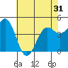 Pacific Mariculture Dock tide chart for Saturday, May 31, 2025