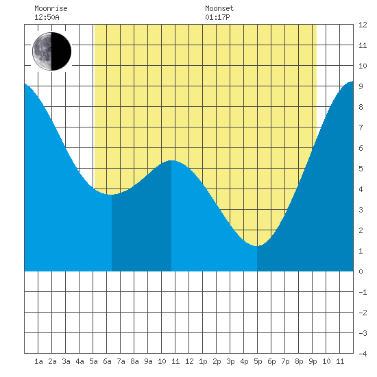 Patos Island tide chart for Friday, June 28, 2024