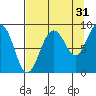 Patton Bay tide chart for Saturday, August 31, 2024