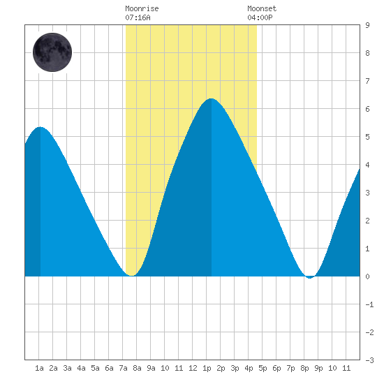 Pavonia tide chart for Friday, December 19, 2025