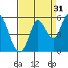 Petaluma River tide chart for Saturday, August 31, 2024