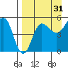 Peterson Bay tide chart for Saturday, August 31, 2024
