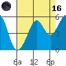 Bonita Cove tide chart for Wednesday, August 16, 2023