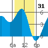 Bonita Cove tide chart for Tuesday, December 31, 2024