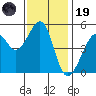 Bonita Cove tide chart for Wednesday, November 19, 2025