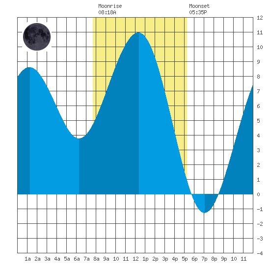 Ocean Shores tide chart for Wednesday, January 29, 2025