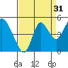 Point Buckler tide chart for Saturday, August 31, 2024