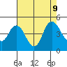 Point Buckler tide chart for Friday, August 9, 2024