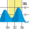 Point Buckler tide chart for Friday, January 31, 2025