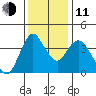 Point Buckler tide chart for Thursday, December 11, 2025