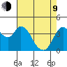 Point Buckler tide chart for Saturday, May 9, 2026