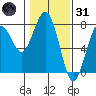 Pacific Beach tide chart for Monday, January 31, 2022