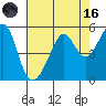 Point Orient tide chart for Wednesday, August 16, 2023