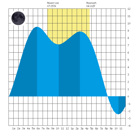 Bellingham tide chart for Tuesday, January 12, 2021
