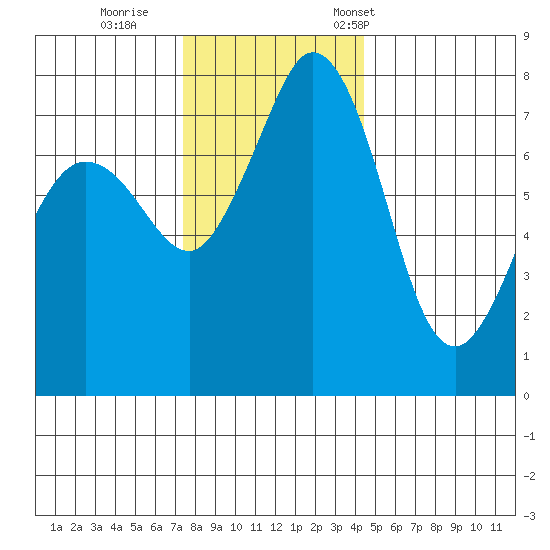 Bellingham tide chart for Sunday, November 20, 2022