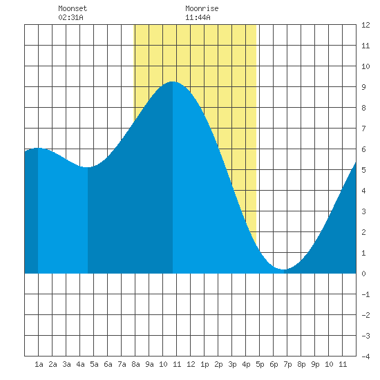 Bellingham tide chart for Friday, January 19, 2024