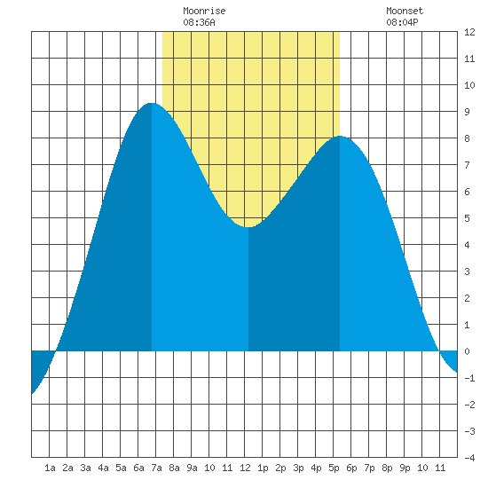 Bellingham tide chart for Sunday, February 11, 2024