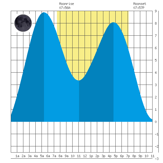Bellingham tide chart for Sunday, March 10, 2024