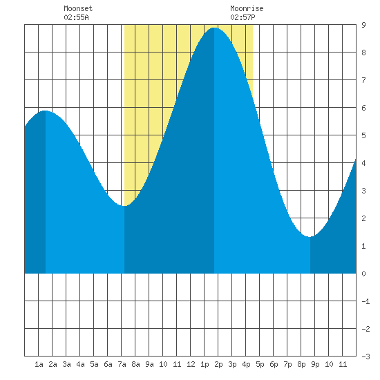 Bellingham tide chart for Tuesday, November 12, 2024