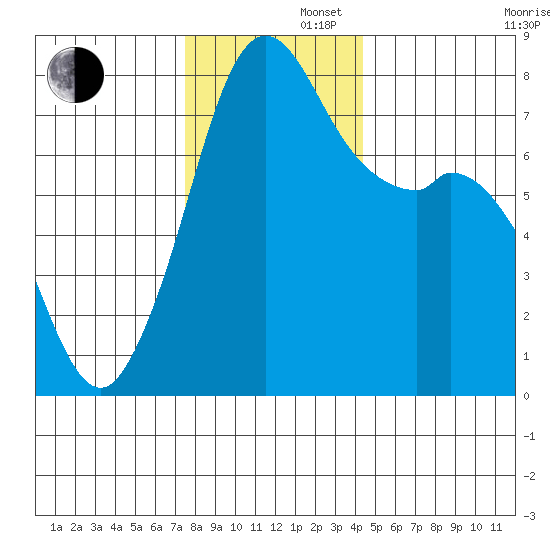 Bellingham tide chart for Friday, November 22, 2024