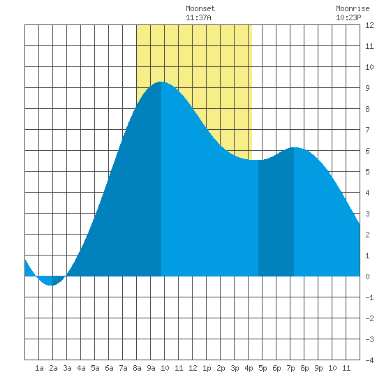 Bellingham tide chart for Friday, December 20, 2024