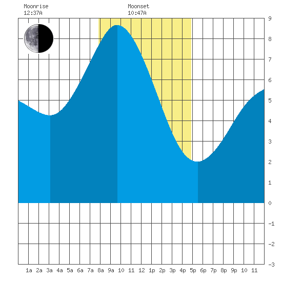 Bellingham tide chart for Tuesday, January 21, 2025